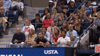The Crowd Stands In Celebration