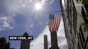 viceland GIF by THE HUNT FOR THE TRUMP TAPES