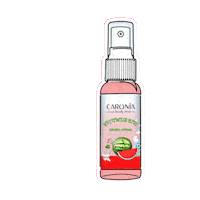 Watermelon Perfume Sticker by Vibelle Distribution Inc.
