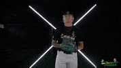 Tulane Rollwave GIF by GreenWave