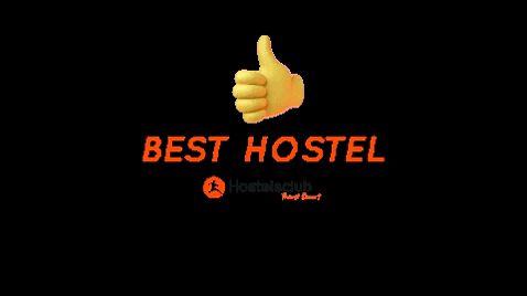 hostelsclub giphygifmaker giphyattribution holiday best GIF