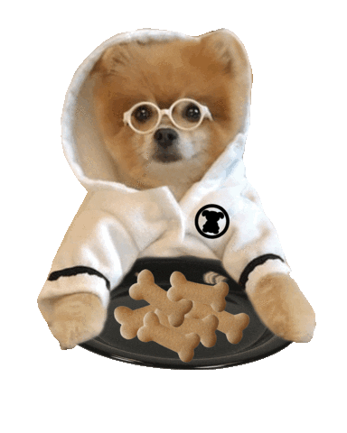dog breakfast Sticker by MISO PUP