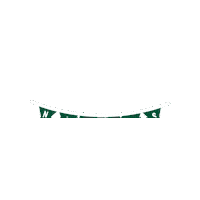 UNCCharlotte niners uncc unc charlotte niner nation Sticker