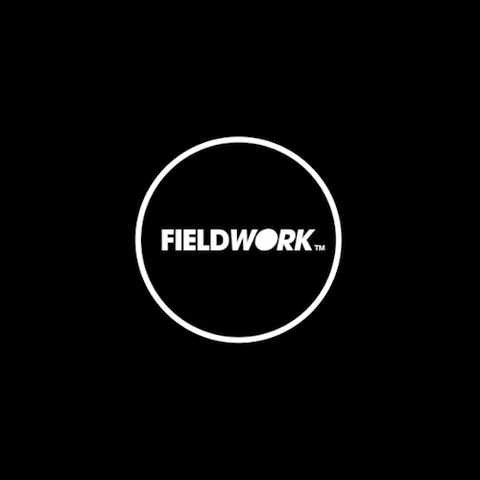 teamfieldwork logo ring fw fieldwork GIF