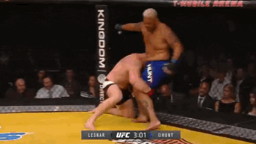Brock Lesnar Mma GIF by UFC