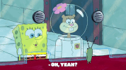 episode 1 GIF by SpongeBob SquarePants