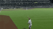 Baseball College GIF by NCAA Championships