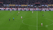simon terodde soccer GIF by 1. FC Köln