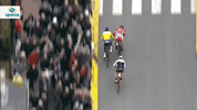 GIF by Sporza