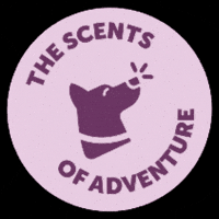 protexinpet pet curious woof probiotic GIF