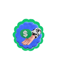 App Cashback Sticker by PicPay