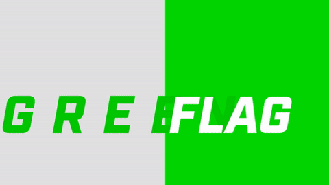 green flag nascar GIF