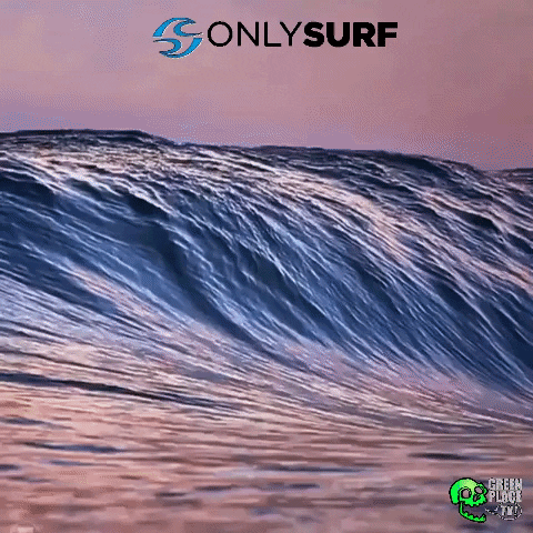 Wave Ocean GIF by Only Surf