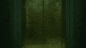 GIF by Gotham