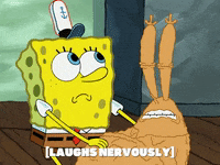 season 5 GIF by SpongeBob SquarePants