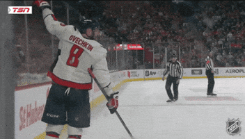 Happy Washington Capitals GIF by NHL