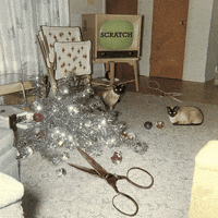 GIF by Emma Anna