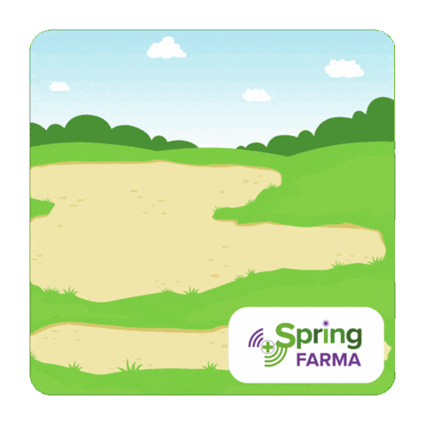 Farmacie Sticker by Spring FARMA