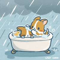 Welsh Corgi Puppy GIF by Lazy Corgi