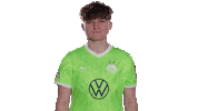 Football Applause Sticker by VfL Wolfsburg