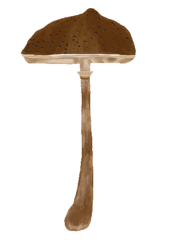 Plant Mushroom Sticker by Teaspoon studio