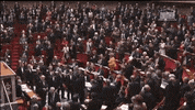 joie GIF by franceinfo