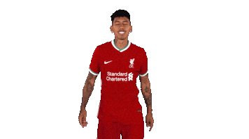 Premier League Football Sticker by Liverpool FC