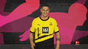 Borussia Dortmund Football GIF by Bundesliga