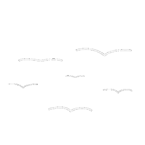 Bird Line Sticker
