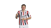Kingside Sticker by Willem II