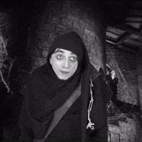 Happy Mel Brooks GIF by Nespolo Giullare