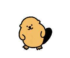 Happy Sea Otter Sticker by takadabear