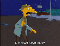 Season 1 GIF by The Simpsons