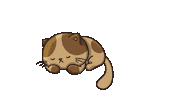 portoriga cat animation sleepy tail Sticker