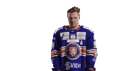 Celebration Hockey Sticker by Växjö Lakers