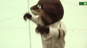 university of vermont mascot GIF