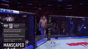 Sport GIF by UFC