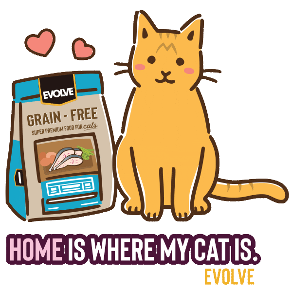 Cats Evolve Sticker by Sunshine Mills