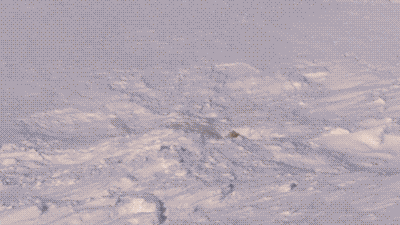 Top Yes GIF by ALDI FRANCE