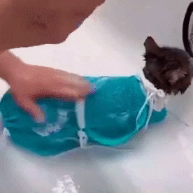 Puppiemate giphyupload GIF
