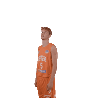 Sport Basketball Sticker by spisskirytieri