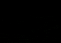black GIF by South Park 