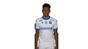 Goal Win Sticker by AJ Auxerre