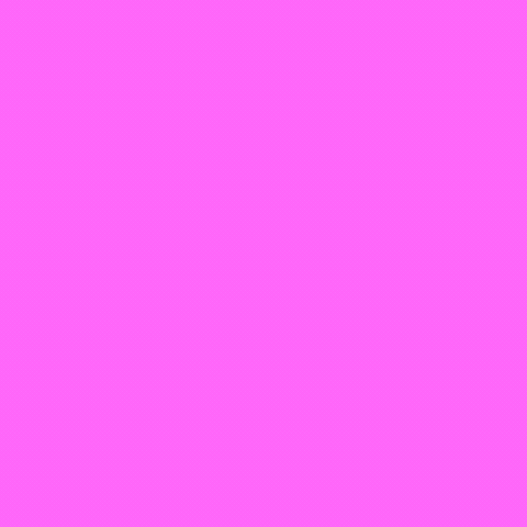 Joe Biden Sticker GIF by Creative Courage