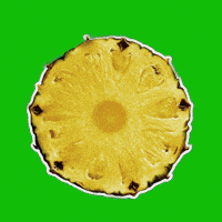 Summer Comida GIF