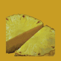 Summer Comida GIF