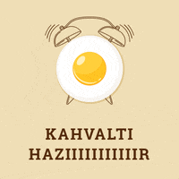 Tazedirekt menu yemek organik kahvalti GIF