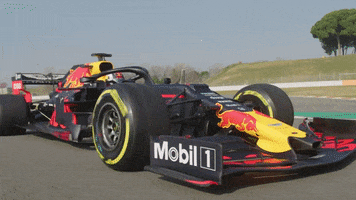 redbullracing car racing race f1 GIF