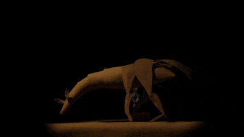 ruifungi tgif stopmotion sit give up GIF