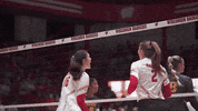 Happy Wisconsin Volleyball GIF by Wisconsin Badgers